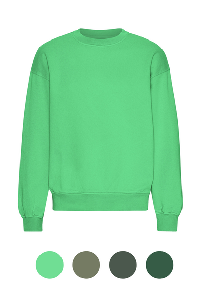 harvestclub-harvest-club-leuven-colorful-standard-colorfulstandard-oversized-crew-greens