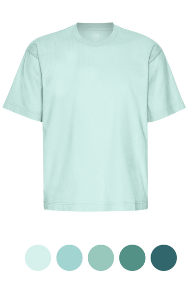 Harvestclub-Harvest-club-Leuven-colorful-standard-oversized-tshirt-aquas