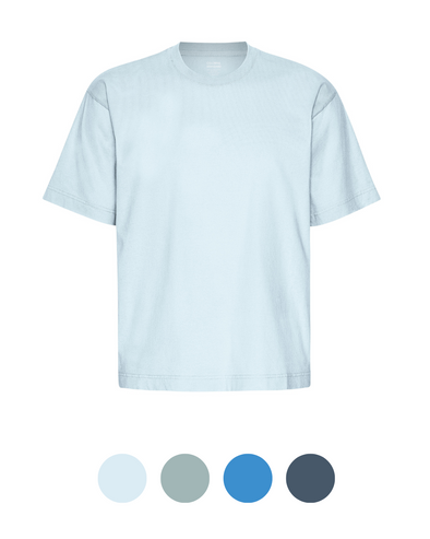 Harvestclub-Harvest-club-Leuven-colorful-standard-oversized-tshirt-blues