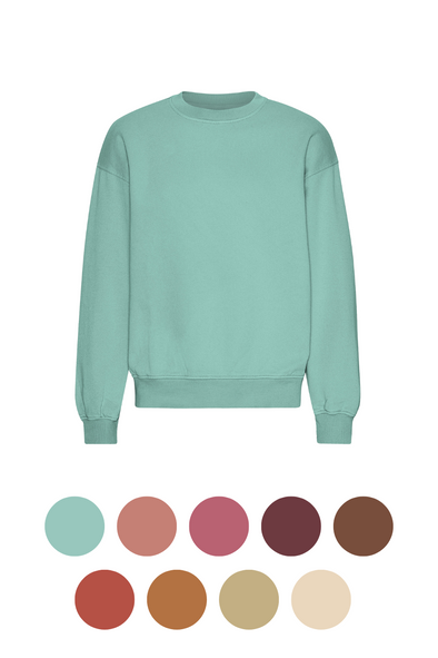 harvestclub-harvest-club-leuven-colorful-standard-colorfulstandard-oversized-crew-different-colors