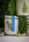 harvestclub-harvest-club-leuven-to:from-greenhouse-candle-different-scents