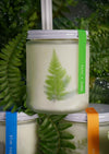 harvestclub-harvest-club-leuven-to:from-greenhouse-candle-different-scents