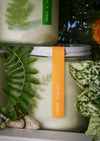 harvestclub-harvest-club-leuven-to:from-greenhouse-candle-different-scents