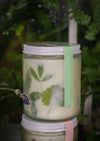 harvestclub-harvest-club-leuven-to:from-greenhouse-candle-different-scents