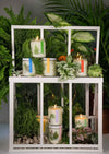 harvestclub-harvest-club-leuven-to:from-greenhouse-candle-different-scents