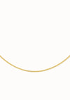 harvestclub-harvest-club-leuven-flawed-curb-necklace-gold