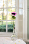 harvestclub-harvest-club-leuven-sjaal-met-verhaal-anemoon-roze