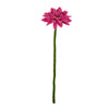 SJAAL MET VERHAAL • Gerbera Fuchsia