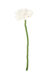 SJAAL MET VERHAAL • Gerbera Wit