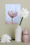 harvestclub-harvest-club-leuven-sjaal-met-verhaal-gerbera-wit