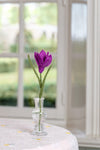 harvestclub-harvest-club-leuven-sjaal-met-verhaal-krokus-cylaam