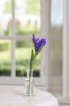 harvestclub-harvest-club-leuven-sjaal-met-verhaal-krokus-paars