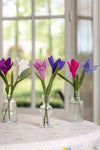 harvestclub-harvest-club-leuven-sjaal-met-verhaal-krokus-roze