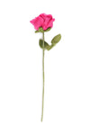SJAAL MET VERHAAL • Roos Fuchsia