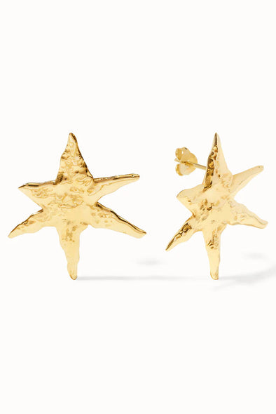 harvest-club-harvestclub-flawed-stellar-earring-gold-1