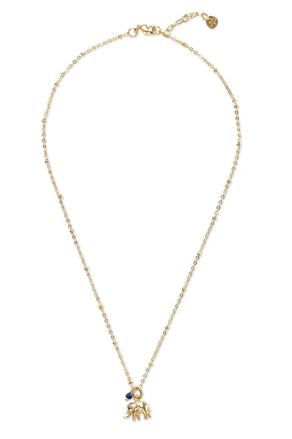 harvestclub-harvest-club-leuven-a-beautiful-story-abeautifulstory-convinced-lapis-lazuli-necklace-gold-plated-1