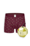 harvestclub-harvest-club-leuven-adam-a-dam-boxer-briefs-burgundy-xmas-tree-1