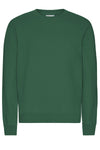 COLORFUL STANDARD Classic Organic Crew • Greens