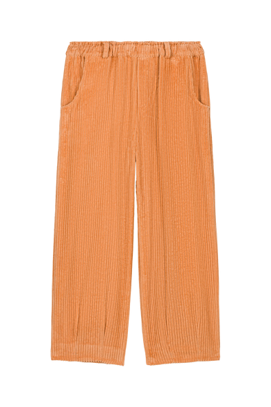 harvestclub-harvest-club-leuven-we-are-kids-elia-corduroy-pantalon-pumpkin-4