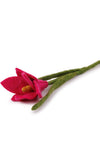 SJAAL MET VERHAAL • Krokus Fuchsia