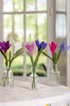 SJAAL MET VERHAAL • Krokus Fuchsia