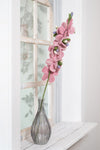 harvestclub-harvest-club-leuven-sjaal-met-verhaal-ridderspoor-roze
