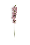 SJAAL MET VERHAAL • Ridderspoor Roze